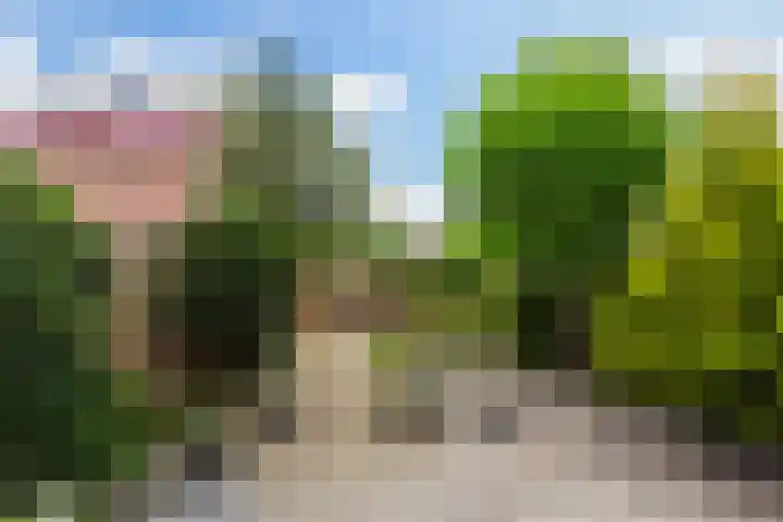 Echtpaar Curiedreef 19 Maassluis thumbnail 18
