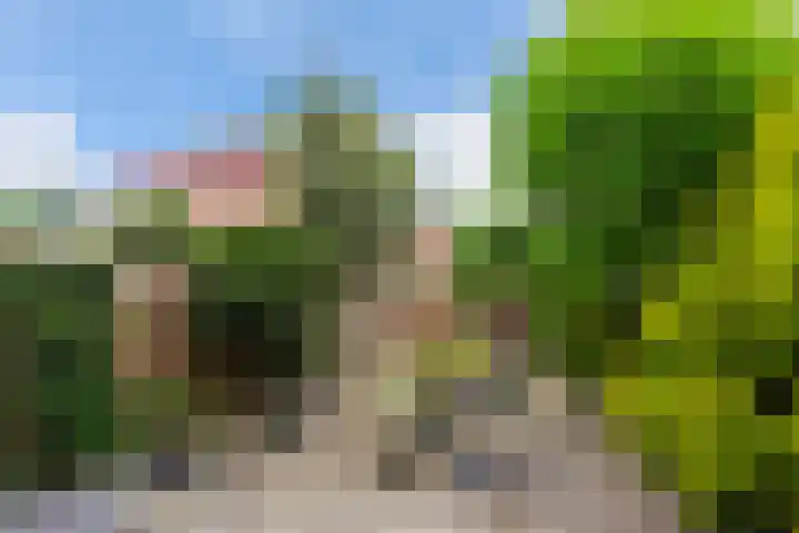 Echtpaar Curiedreef 19 Maassluis thumbnail 19