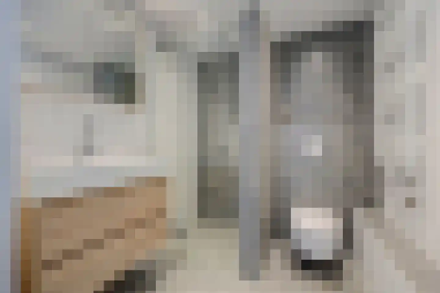 Echtpaar Curiedreef 19 Maassluis thumbnail 23