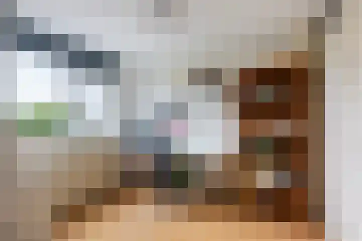 Echtpaar Curiedreef 19 Maassluis thumbnail 32