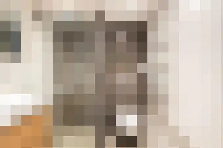 Echtpaar Curiedreef 19 Maassluis thumbnail 4
