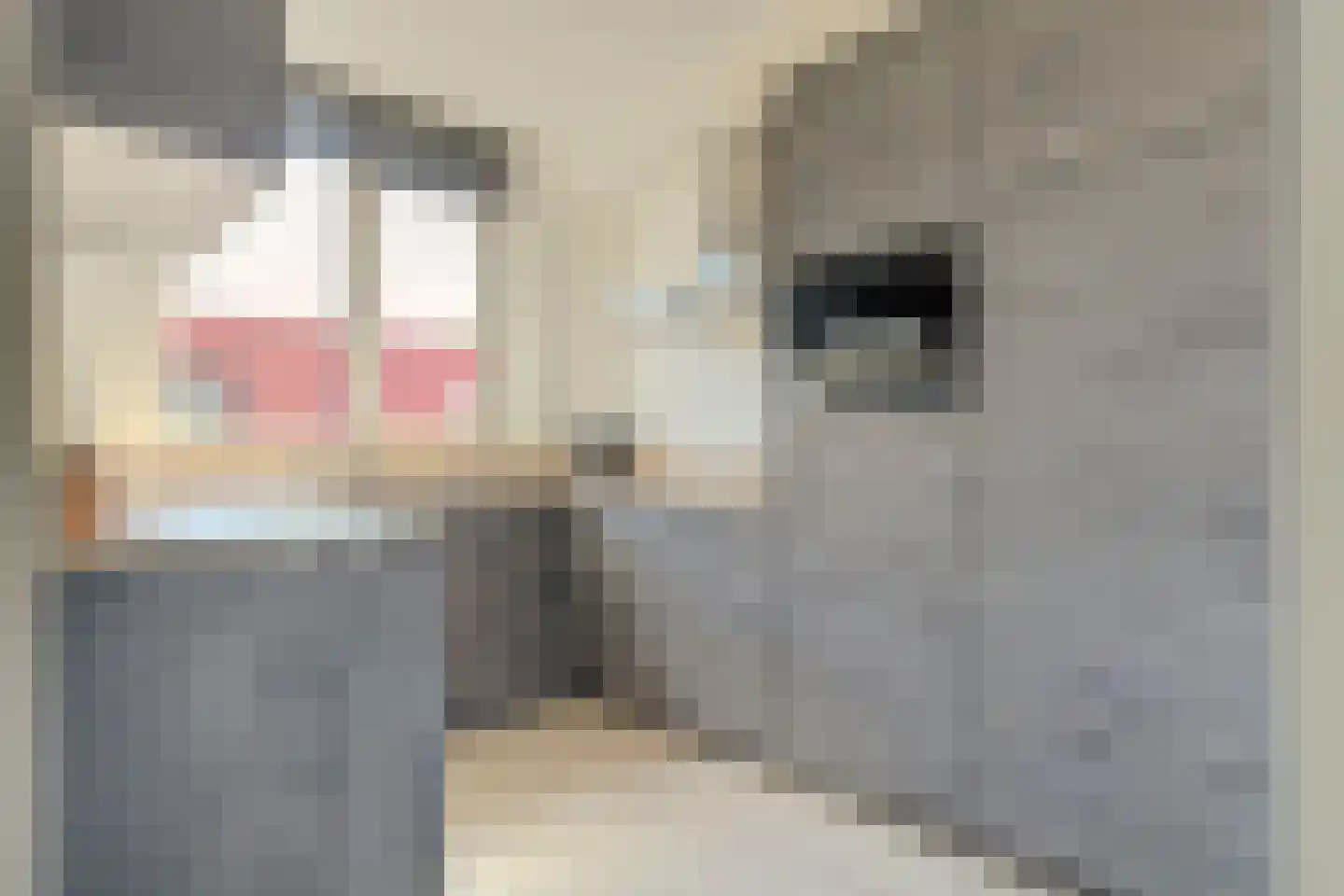 Echtpaar Curiedreef 19 Maassluis thumbnail 8