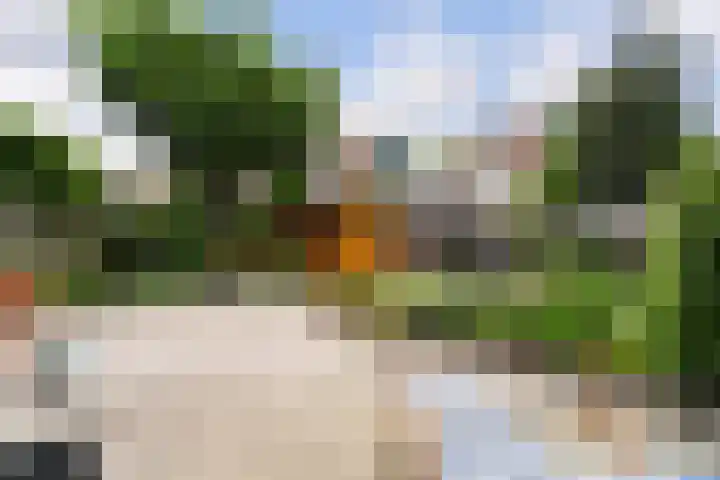 Echtpaar Curiedreef 9 Maassluis thumbnail 31