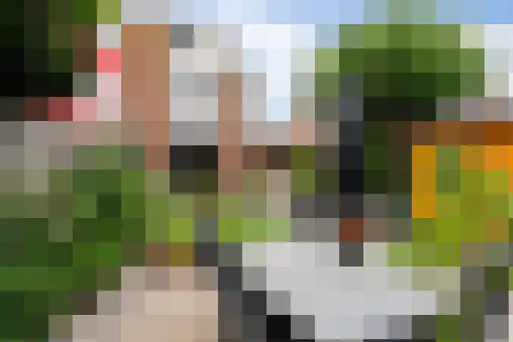 Echtpaar Curiedreef 9 Maassluis thumbnail 34