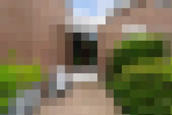 Echtpaar Curiedreef 9 Maassluis thumbnail 35
