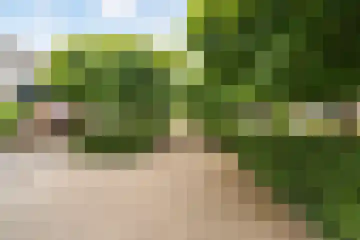 Echtpaar Curiedreef 9 Maassluis thumbnail 43
