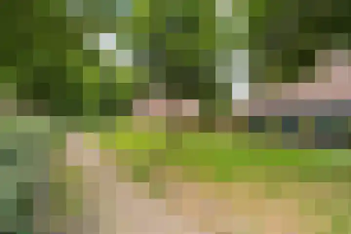 Echtpaar Curiedreef 9 Maassluis thumbnail 44