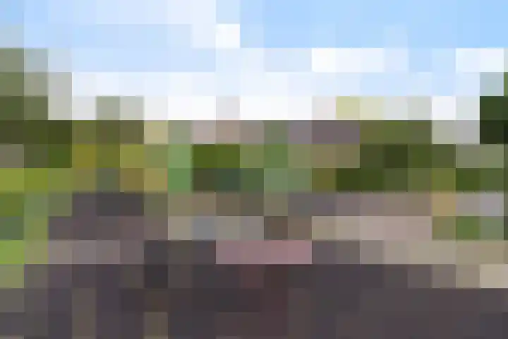 Echtpaar Curiedreef 9 Maassluis thumbnail 45