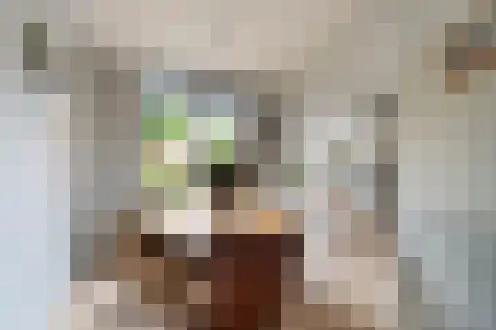 Echtpaar Curiedreef 9 Maassluis thumbnail 7
