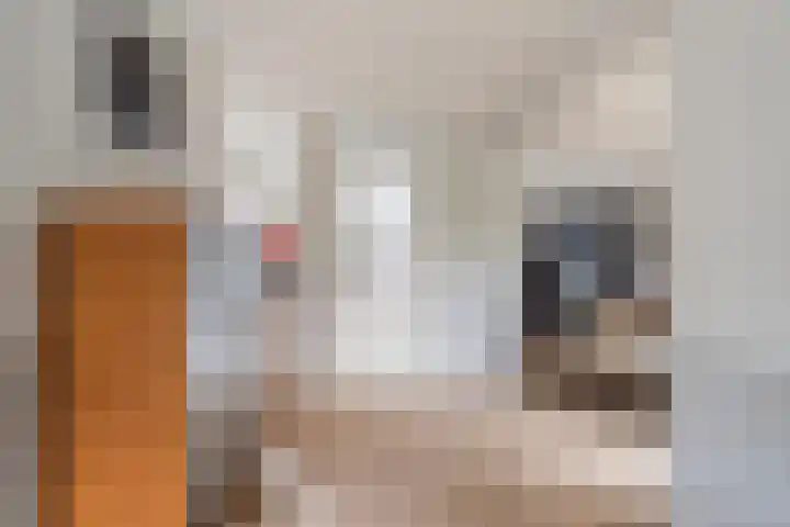 Echtpaar Curiedreef 9 Maassluis thumbnail 8