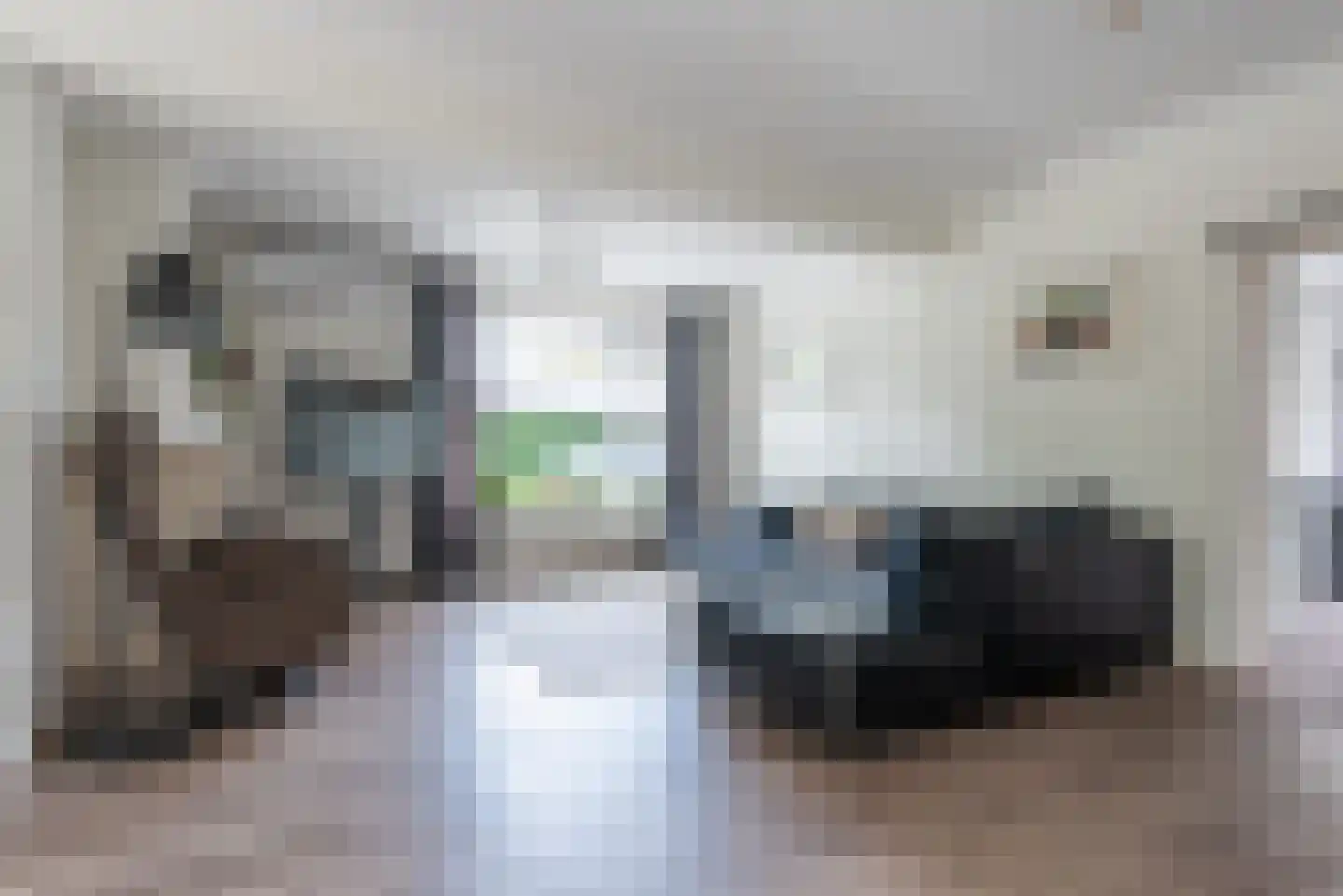 Eckartseweg Noord 238 Eindhoven thumbnail 11