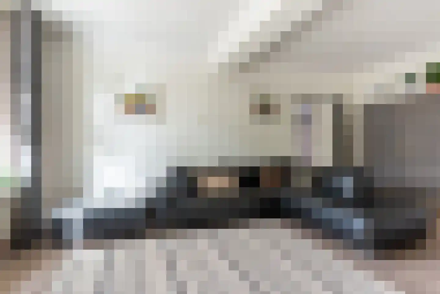 Eckartseweg Noord 238 Eindhoven thumbnail 13