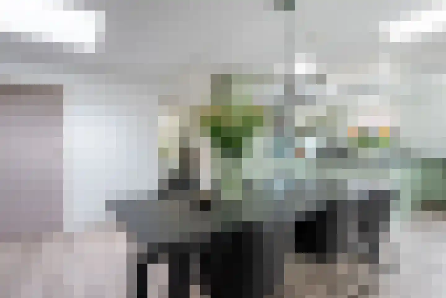 Eckartseweg Noord 238 Eindhoven thumbnail 21