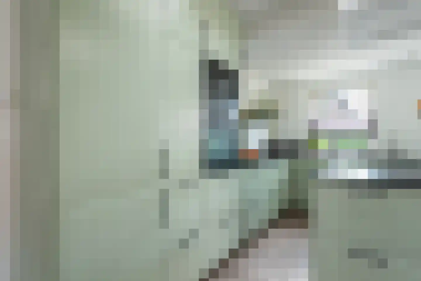 Eckartseweg Noord 238 Eindhoven thumbnail 30