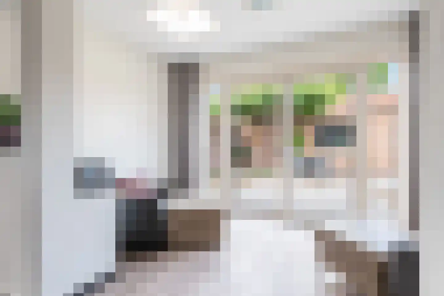 Eckartseweg Noord 238 Eindhoven thumbnail 33