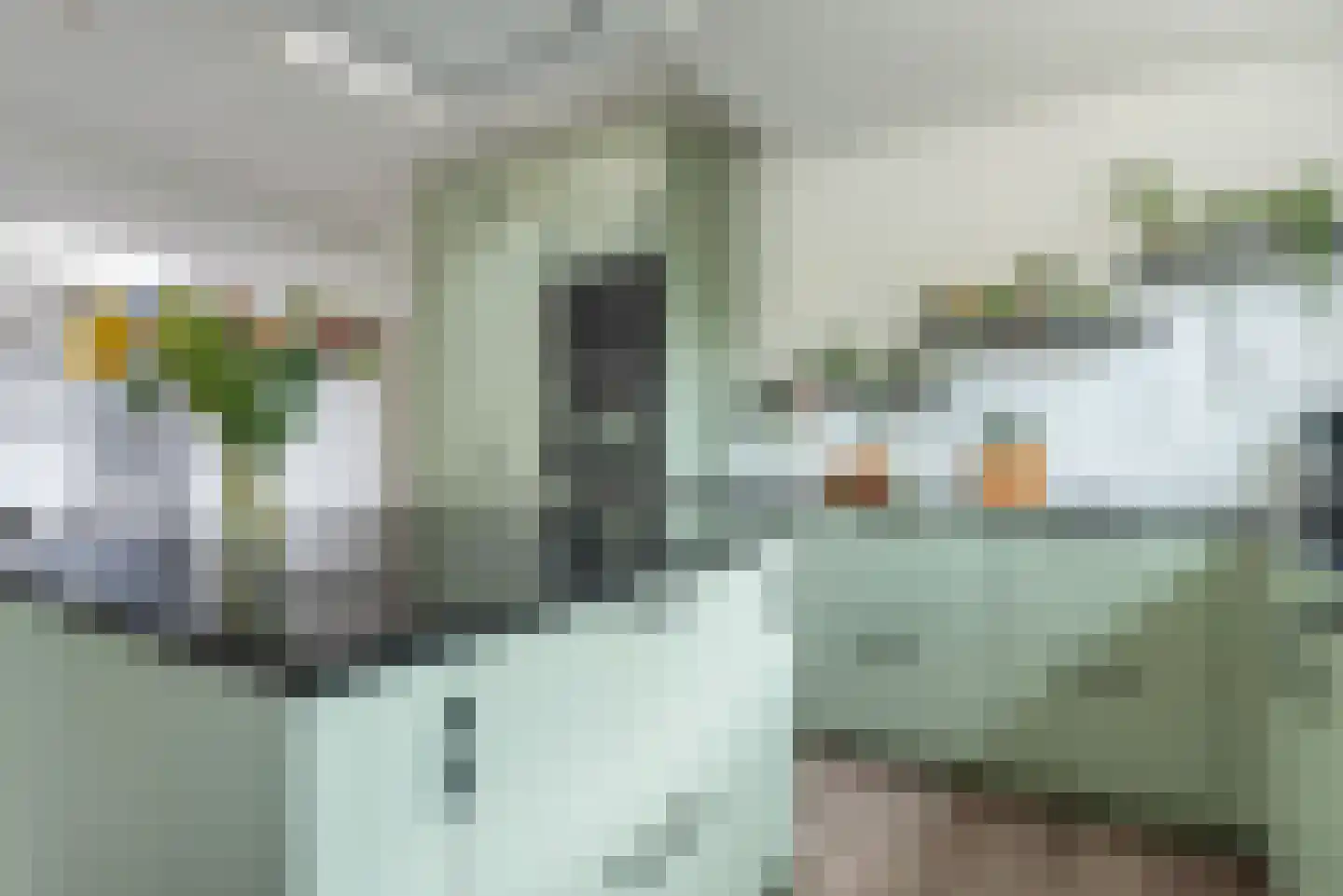Eckartseweg Noord 238 Eindhoven thumbnail 4