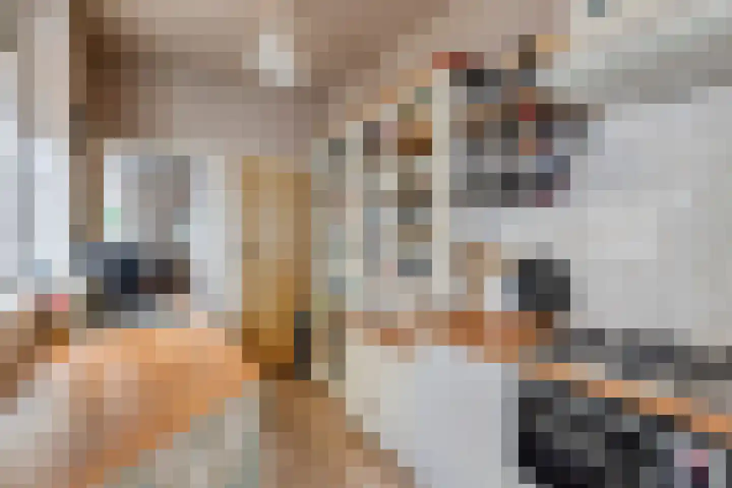 Eckartseweg Noord 256 Eindhoven thumbnail 13