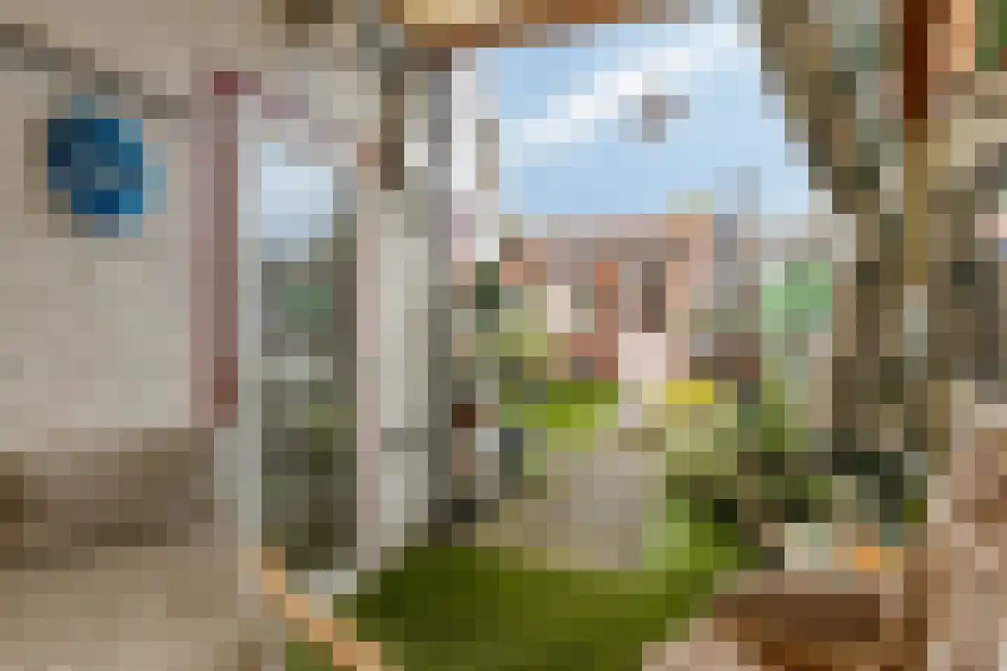 Eckartseweg Noord 256 Eindhoven thumbnail 29