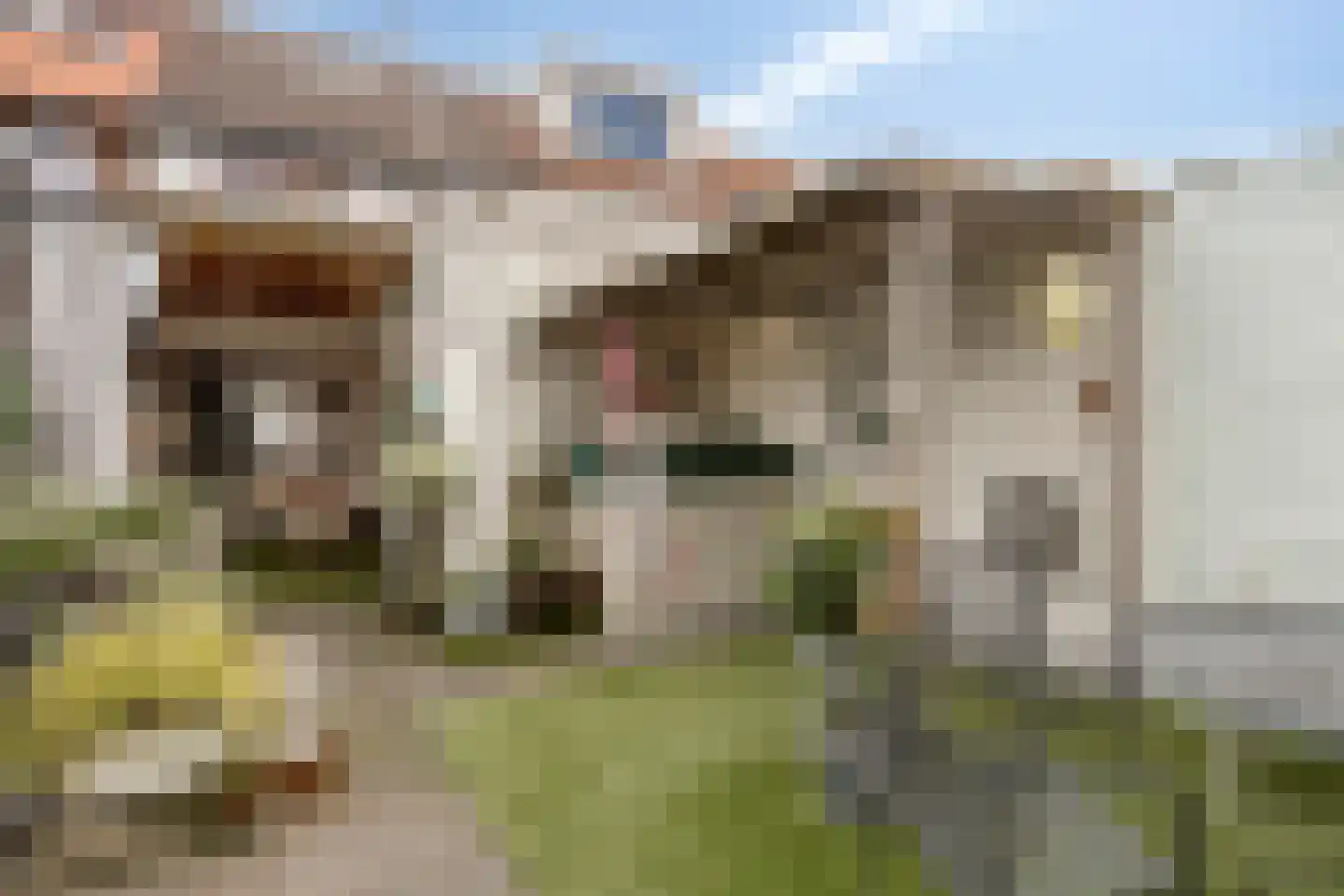 Eckartseweg Noord 256 Eindhoven thumbnail 31