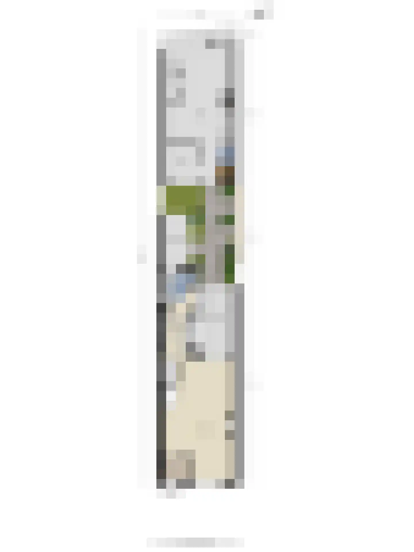 Eckartseweg Noord 256 Eindhoven thumbnail 39