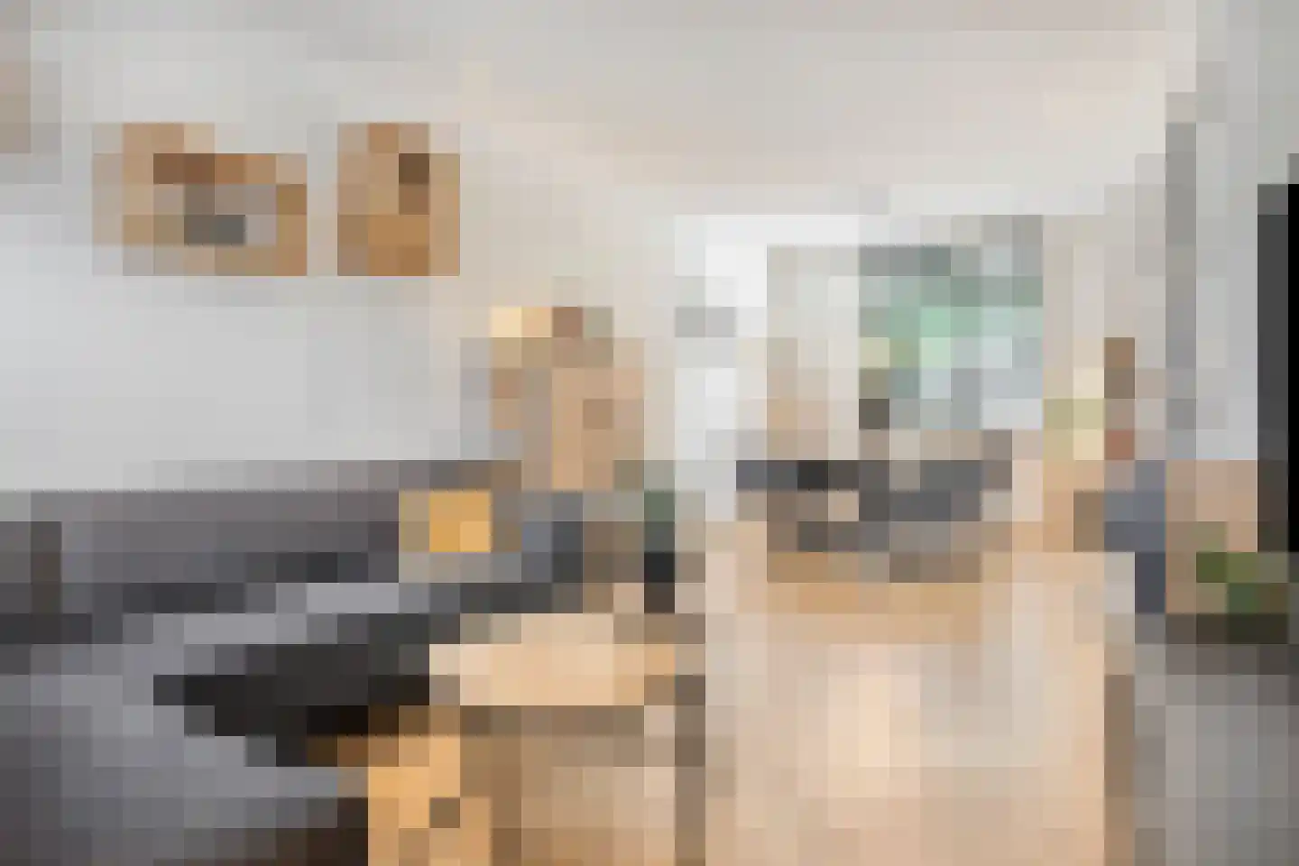 Eckartseweg Noord 260 Eindhoven thumbnail 4