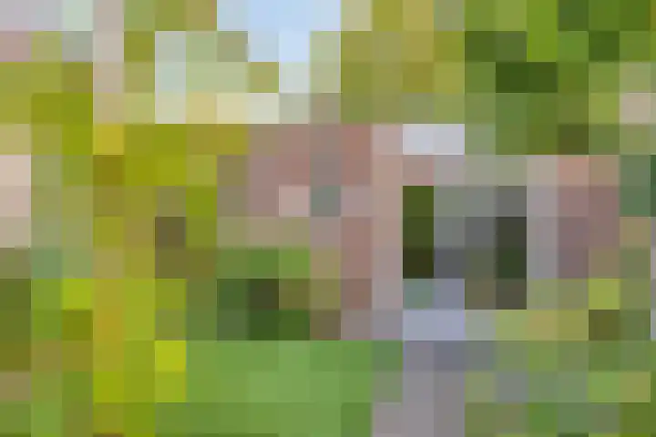 Eckartseweg Zuid 169 Eindhoven thumbnail 24