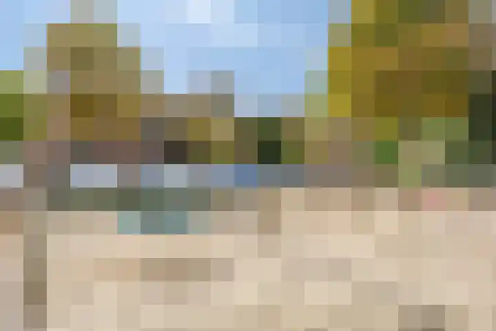Eckartseweg Zuid 169 Eindhoven thumbnail 27