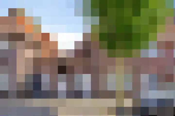 Eckartseweg Zuid 169 Eindhoven thumbnail 29