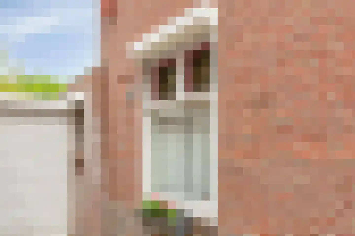 Eckartseweg Zuid 350 Eindhoven thumbnail 56