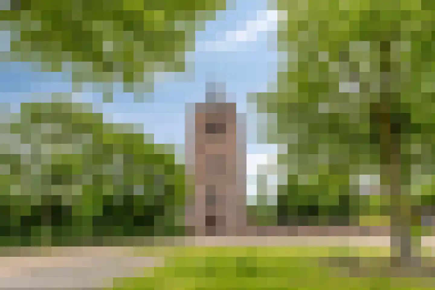 Eckartseweg Zuid 350 Eindhoven thumbnail 59