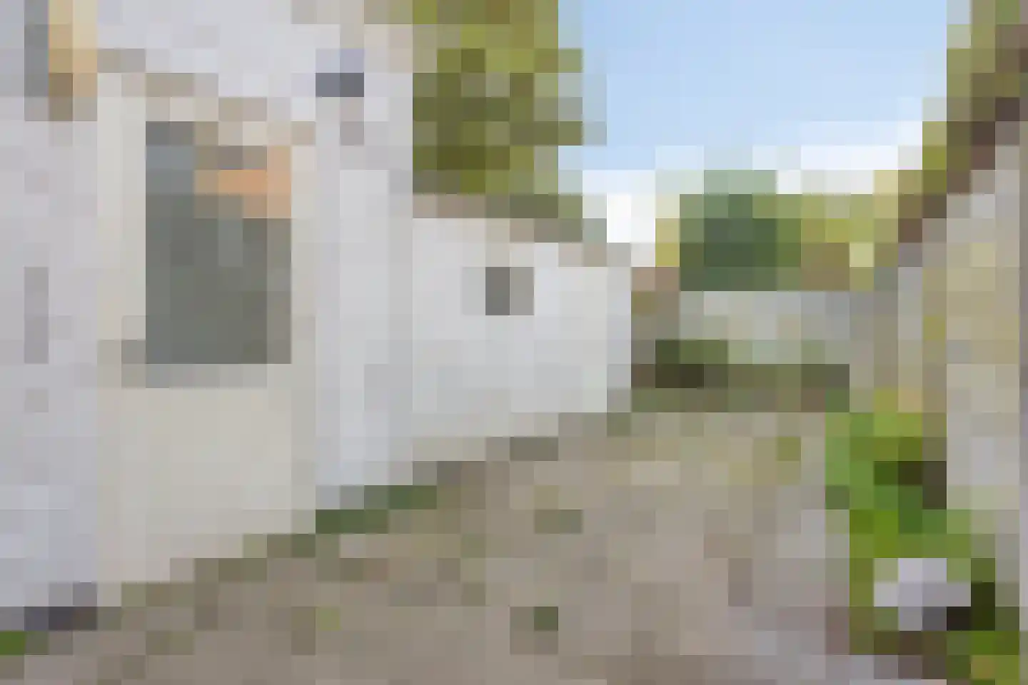 Eckartseweg Zuid 392 Eindhoven thumbnail 31