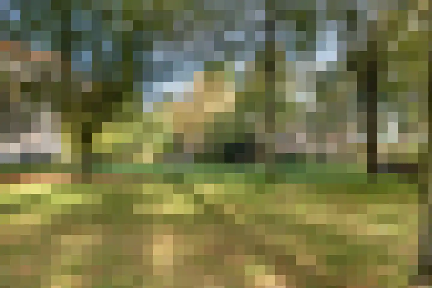 Eckartseweg Zuid 392 Eindhoven thumbnail 36