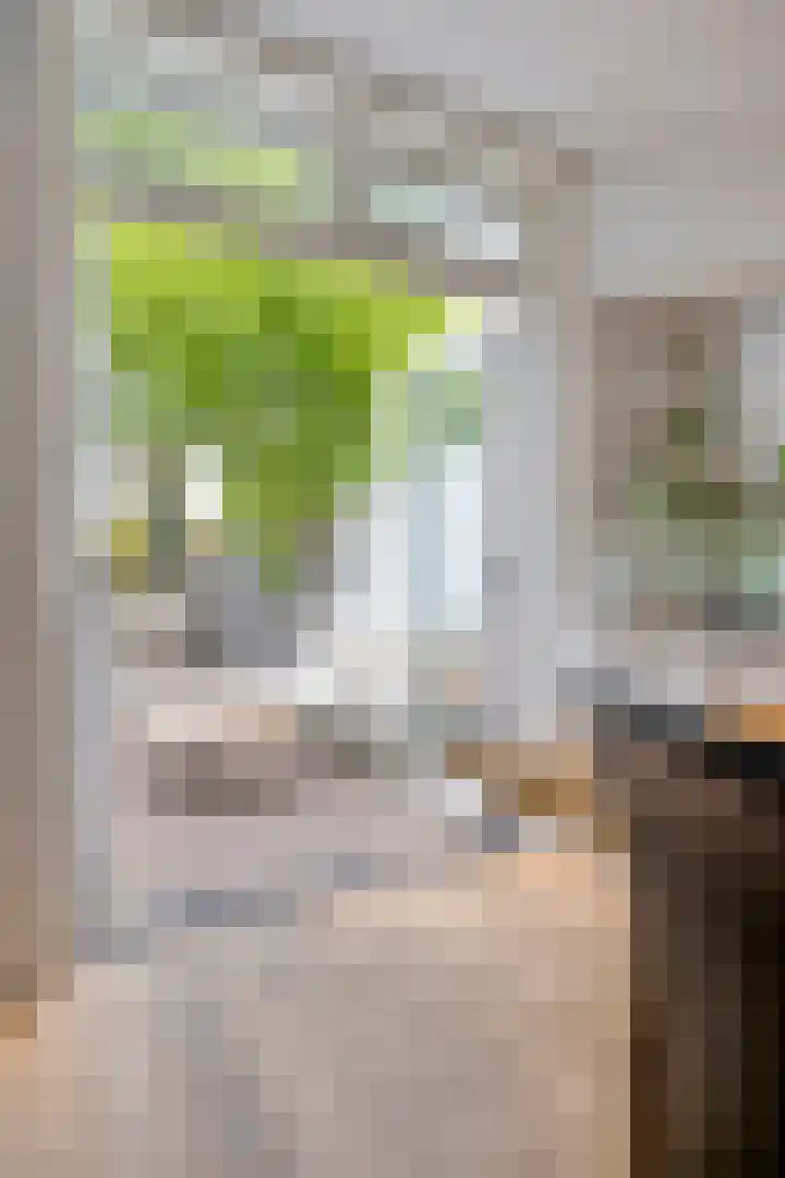 Eckartseweg Zuid 396 Eindhoven thumbnail 32
