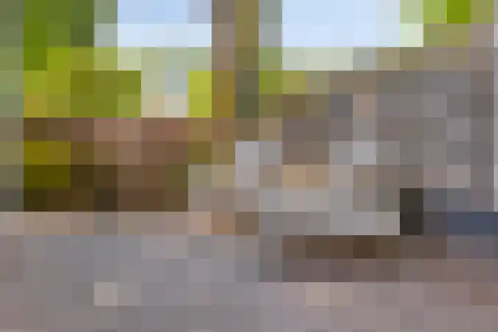 Eckartseweg Zuid 396 Eindhoven thumbnail 36