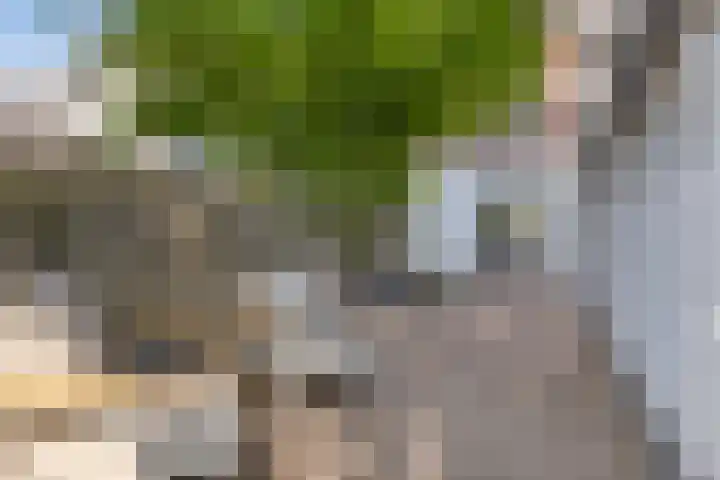 Eckartseweg Zuid 396 Eindhoven thumbnail 37