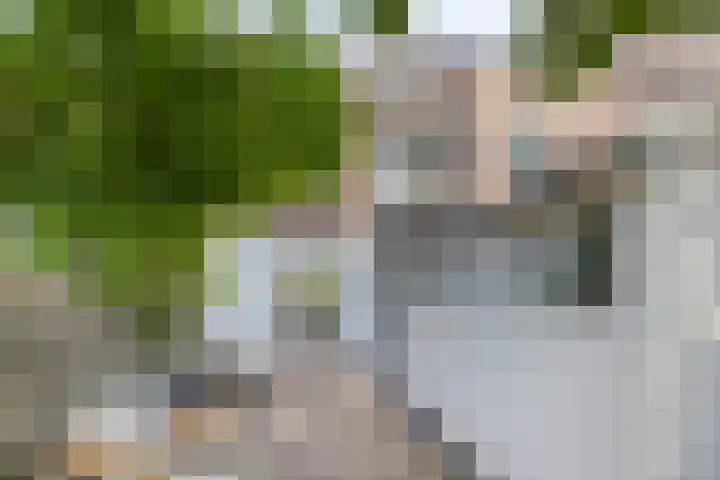 Eckartseweg Zuid 396 Eindhoven thumbnail 38