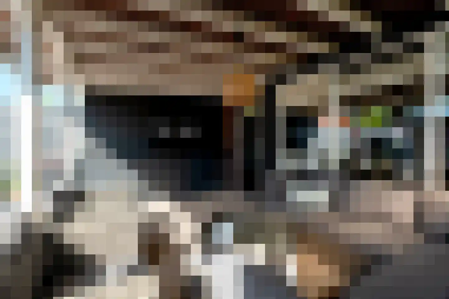 Eckhartstraat 25 Groningen thumbnail 32