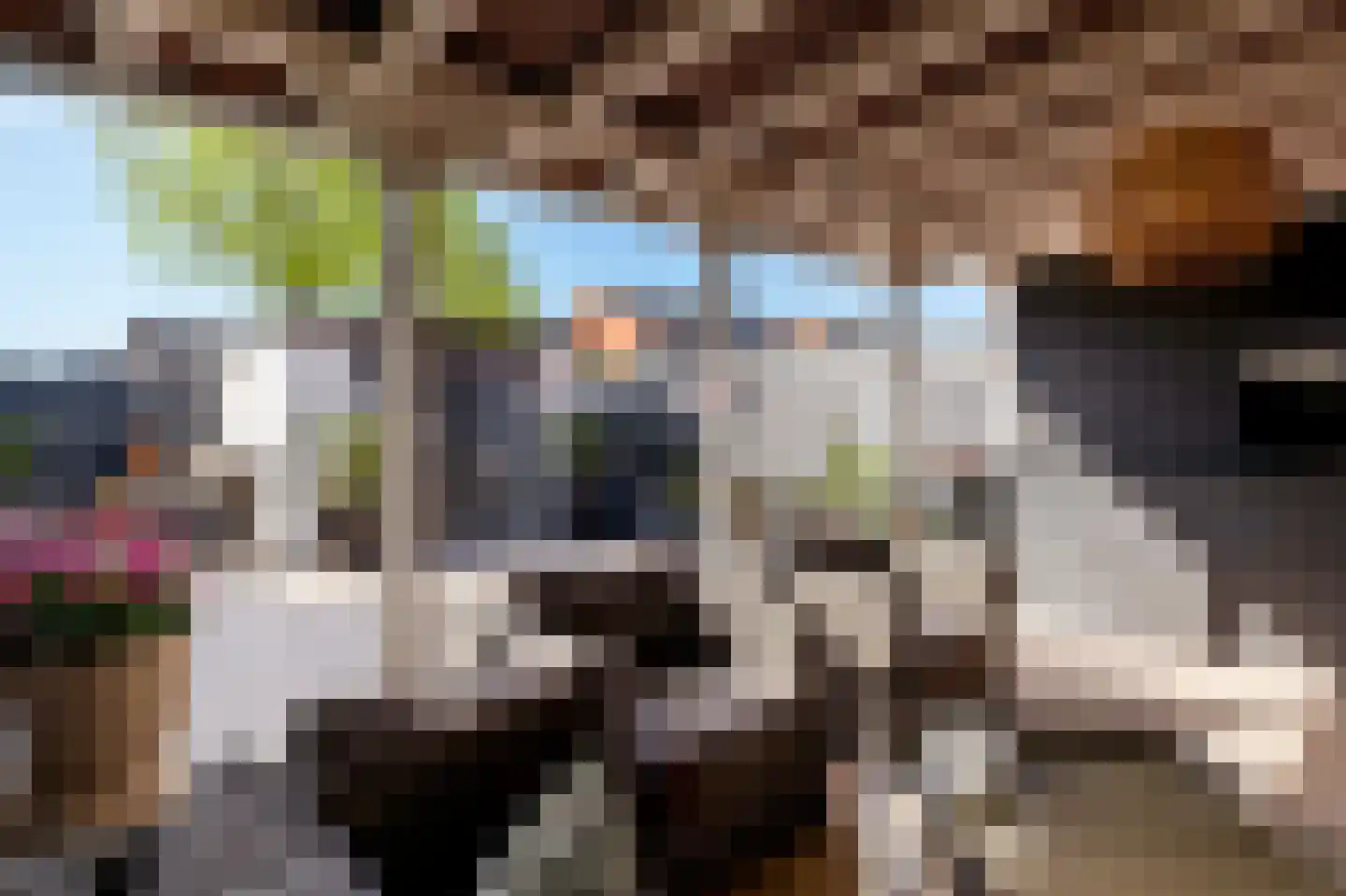 Eckhartstraat 25 Groningen thumbnail 33