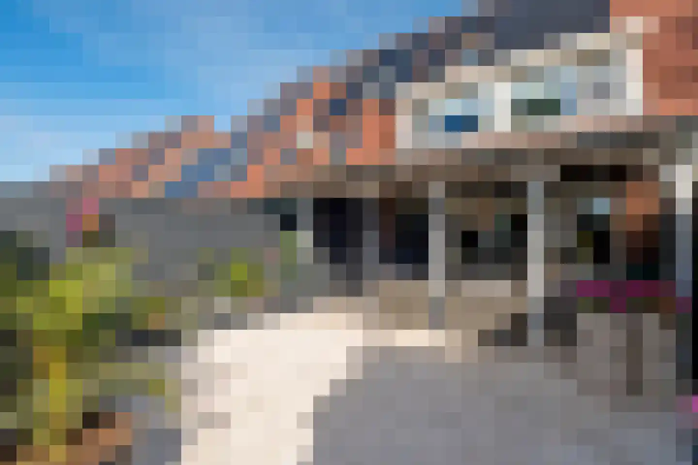 Eckhartstraat 25 Groningen thumbnail 36