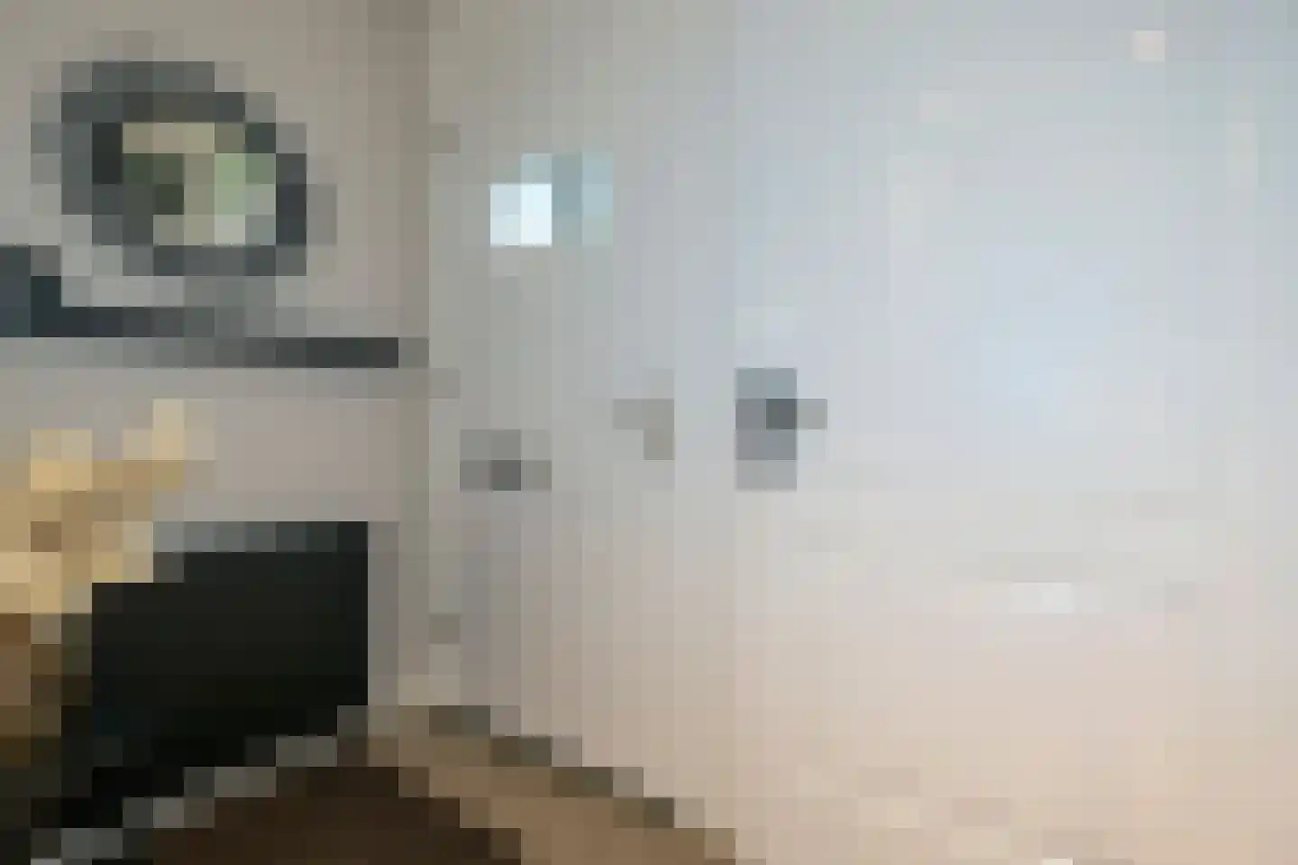 Eckhartstraat 25 Groningen thumbnail 8
