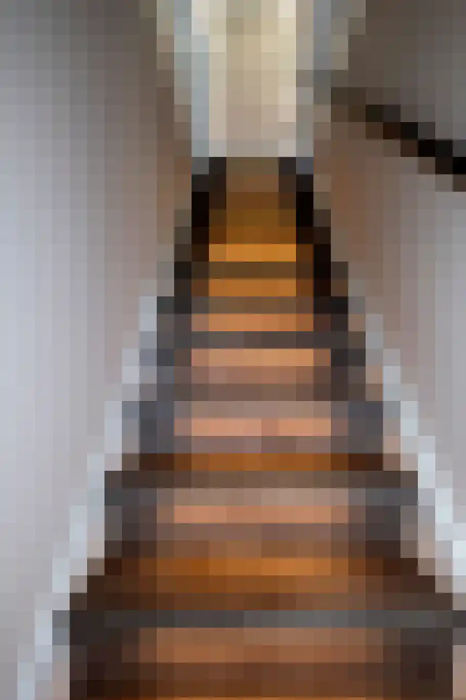 Eckhartstraat 25 Groningen thumbnail 9