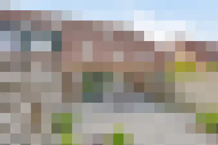 Eckhartstraat 28 Groningen thumbnail 30