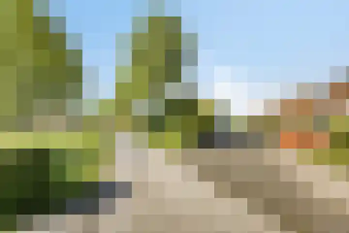 Eckhartstraat 28 Groningen thumbnail 33