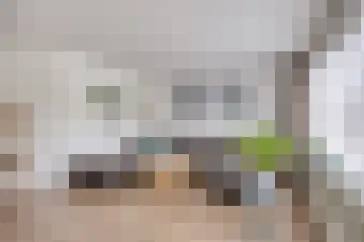 Eckhartstraat 28 Groningen thumbnail 9