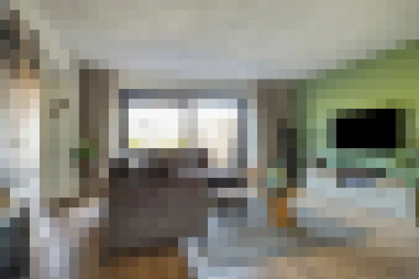 Eckhartstraat 38 Groningen thumbnail 16