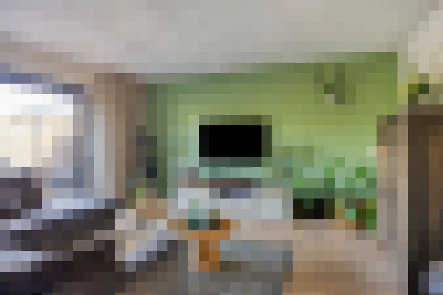Eckhartstraat 38 Groningen thumbnail 17