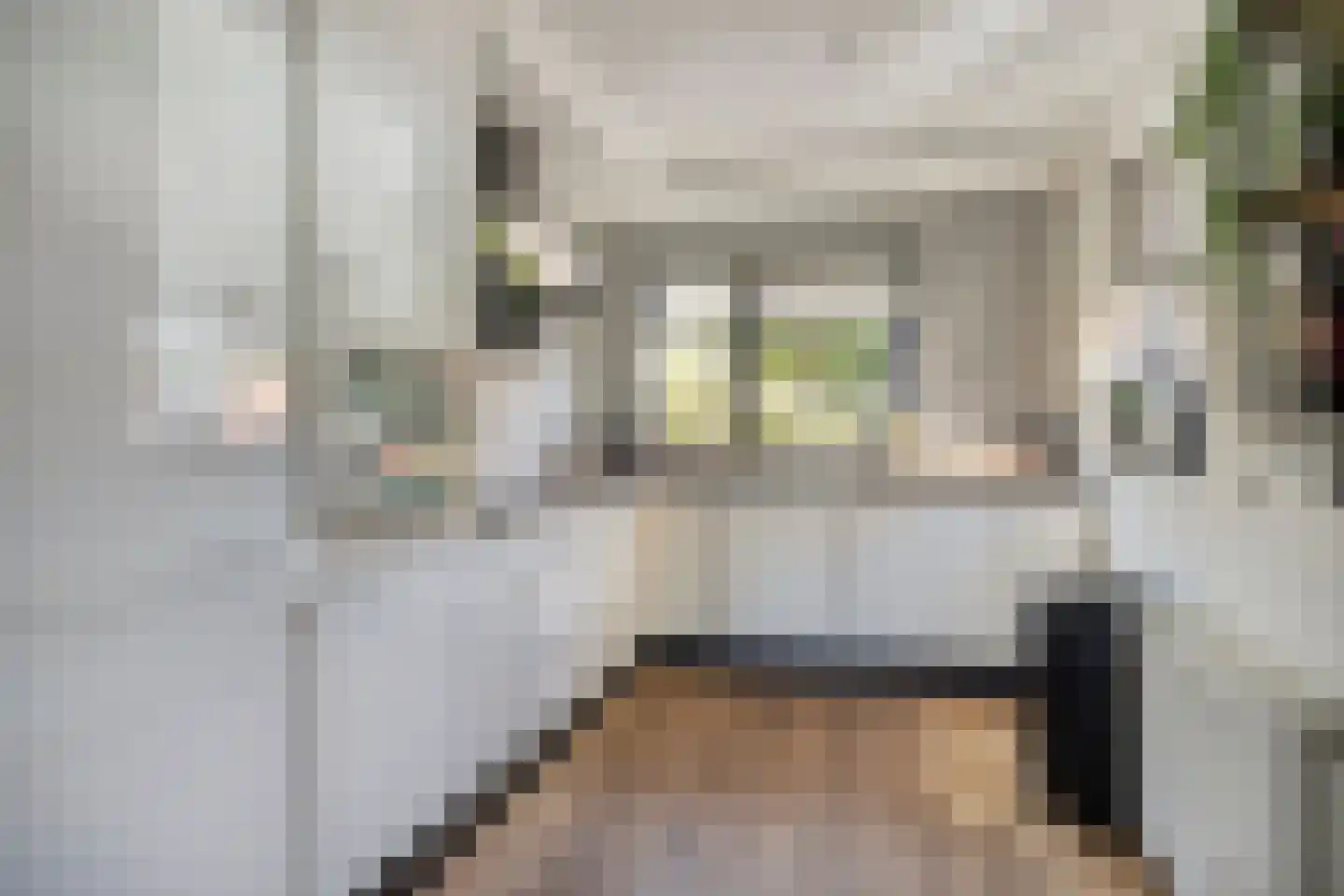 Eckhartstraat 38 Groningen thumbnail 20
