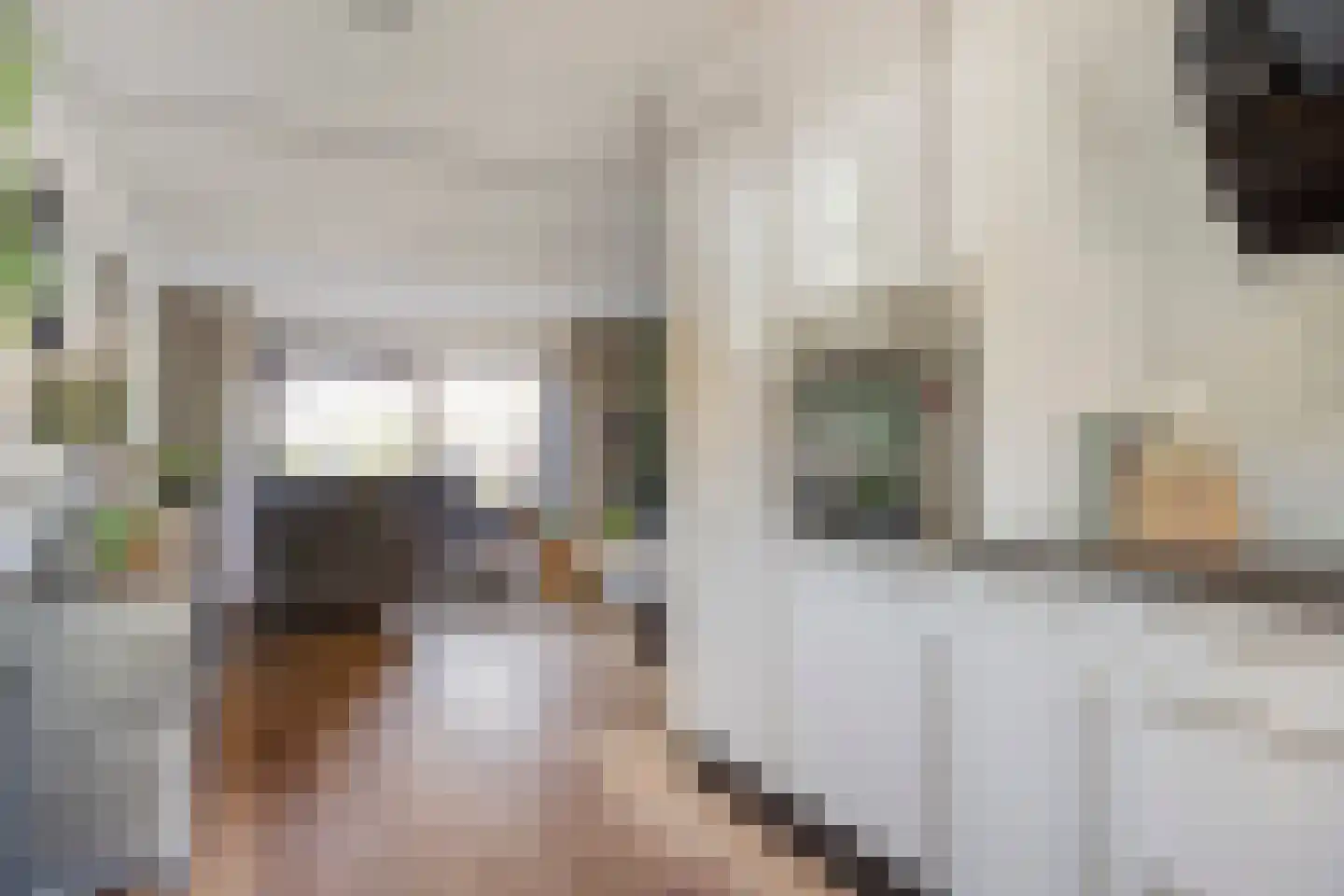 Eckhartstraat 38 Groningen thumbnail 23