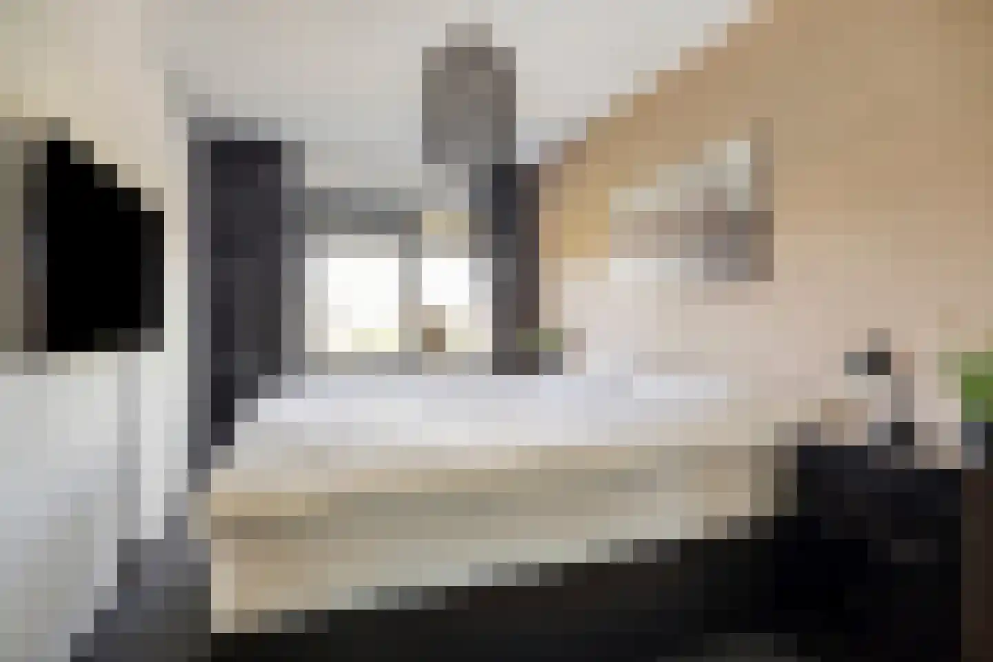 Eckhartstraat 38 Groningen thumbnail 30