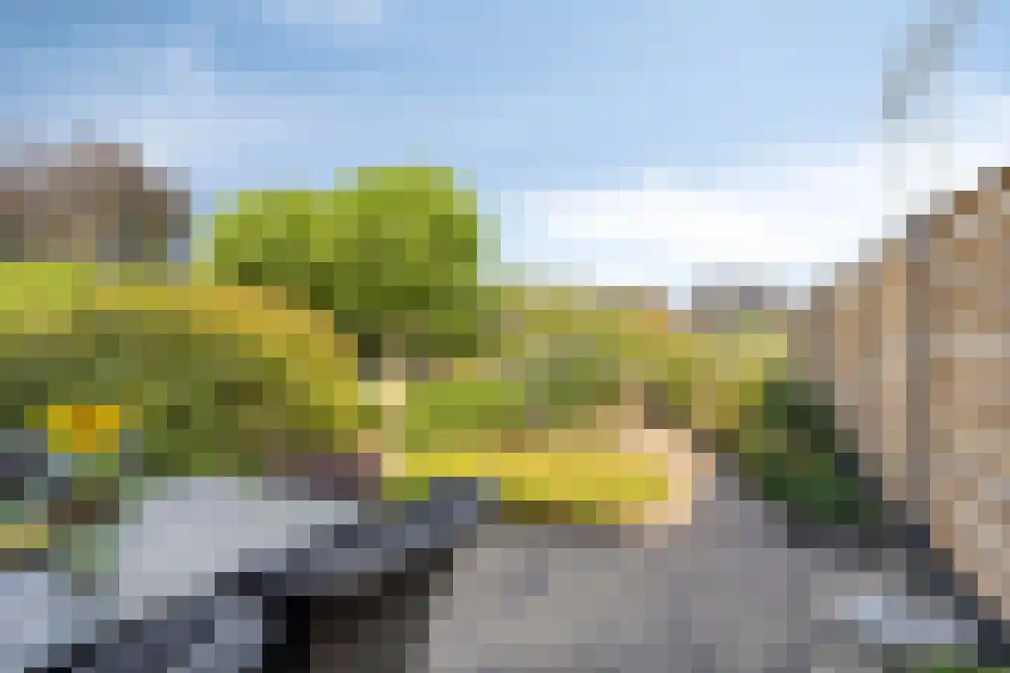 Eckhartstraat 38 Groningen thumbnail 45